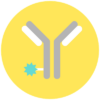Antibody Drug Conjugates