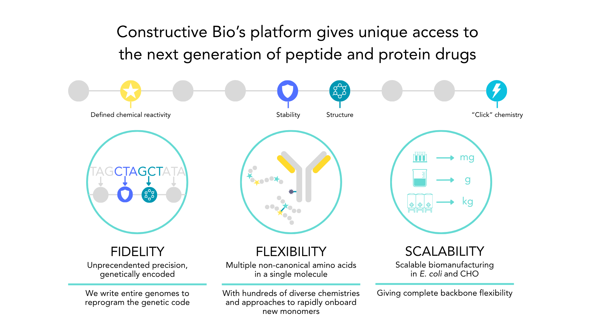 Next Generation Peptide And Protein Drugs Constructive Bio Next Generation Peptide And Protein Drugs Constructive Bio