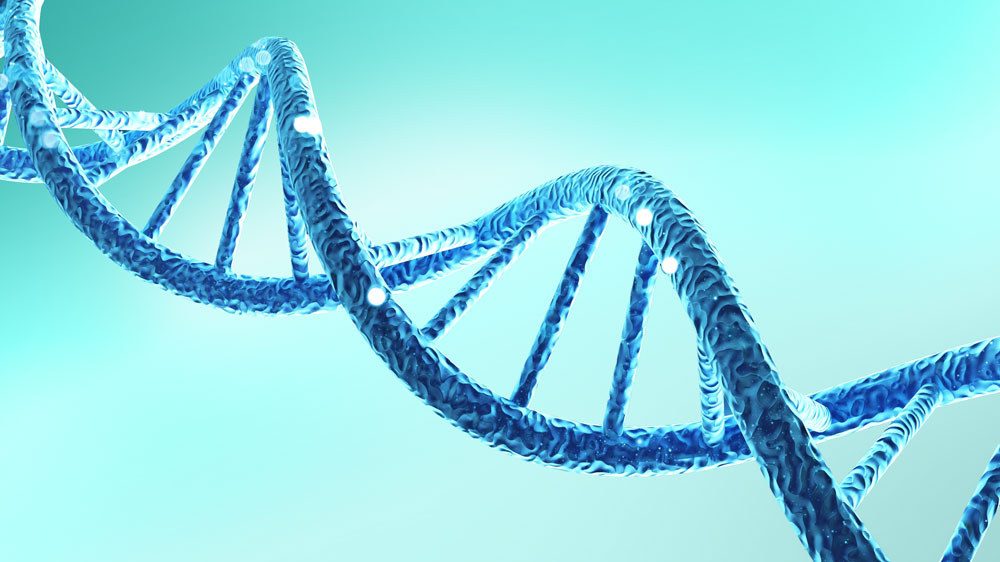 Genome Synthesis 3