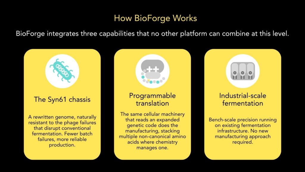 How Bioforge Works (3)